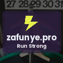 zafunye.pro